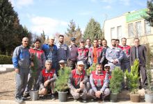 گزارش تصویری از آئیین درختکاری و تقدیر ازهمکاران فضای سبز دانشگاه